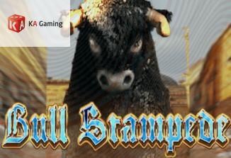 Bull Stampede