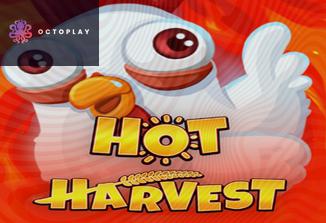 Hot Harvest