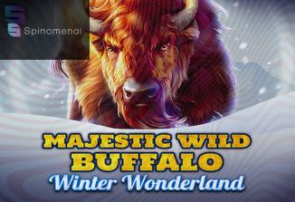 Majestic Wild Buffalo - Winter Wonderland